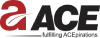 ACE Group brand mark